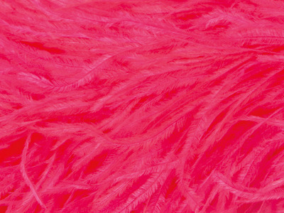 OSTRICH FEATHER FRINGE PINK TROPICANA