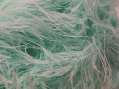 OSTRICH FEATHER FRINGE SPEARMINT