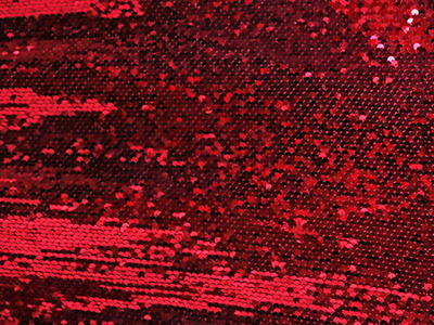 ALL OVER SEQUINS ON NET RED
